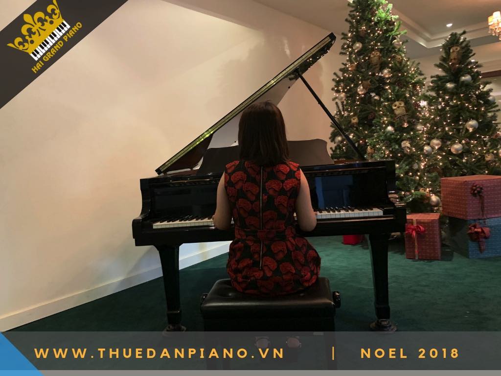 CHO THUÊ ĐÀN PIANO CƠ NOEL 2019 | WHITE PALACE 