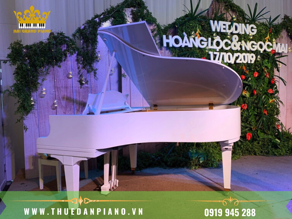 CHO THUÊ ĐÀN GRAND PIANO WHITE | WEDDING EVENT 