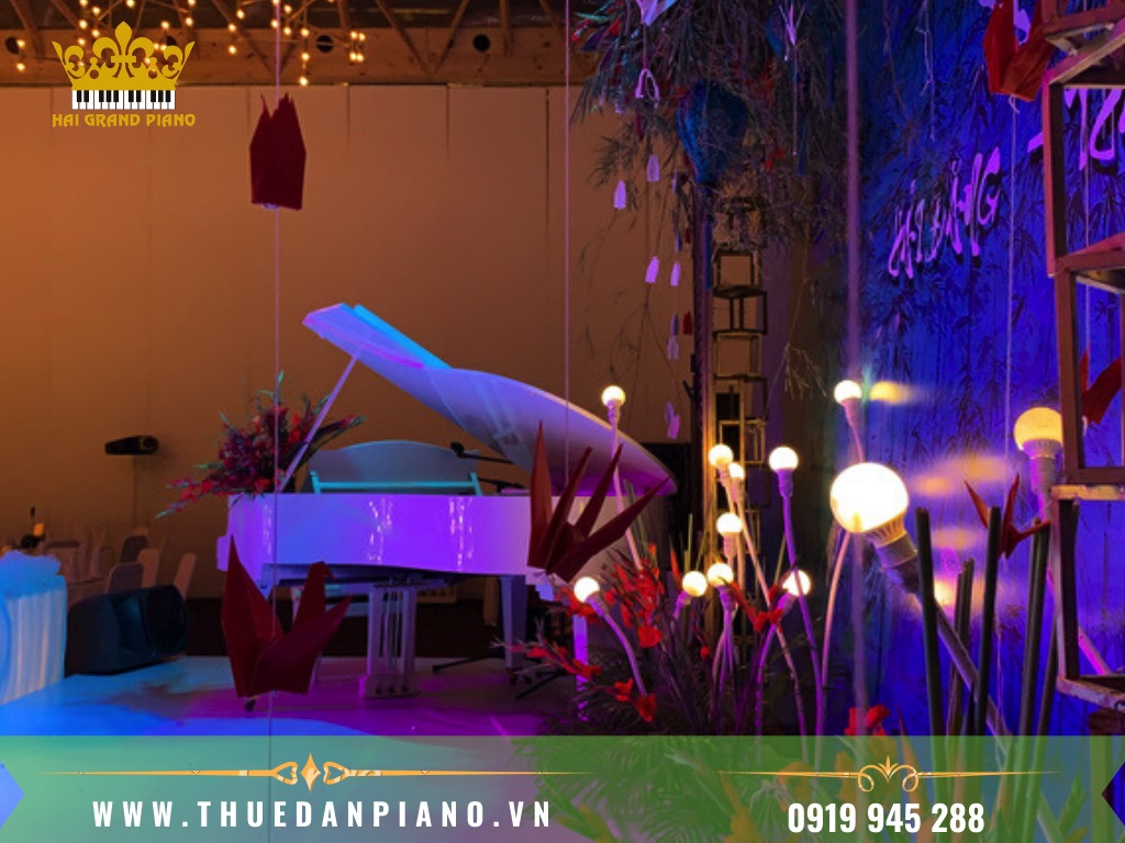 Cho Thuê Đàn Piano Biểu Diễn | Quận Tân Phú 