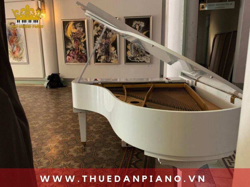 Thuê Đàn Grand Piano Biểu Diễn Triển Lãm Tranh | Bảo Tàng Mỹ Thuật | Quận 1 | Tp.HCM 