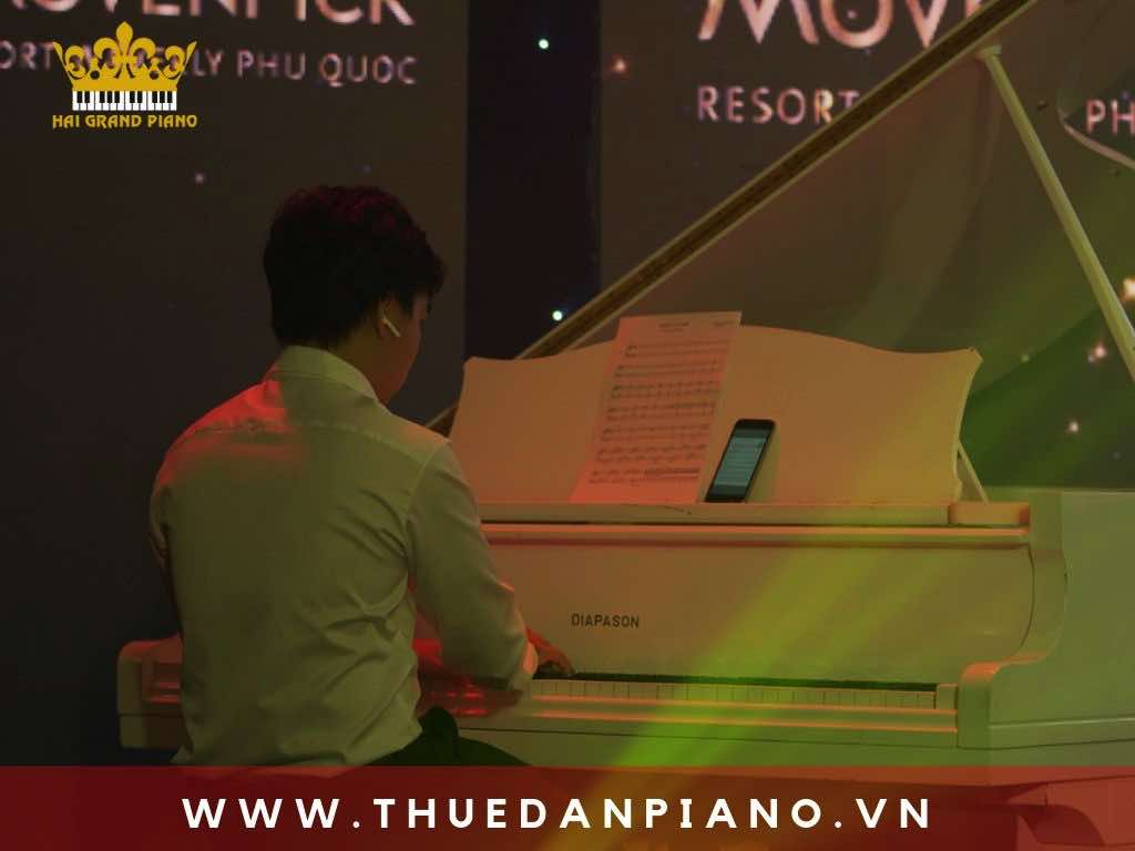 cho-thue-dan-piano-bieu-dien-san-khau_002