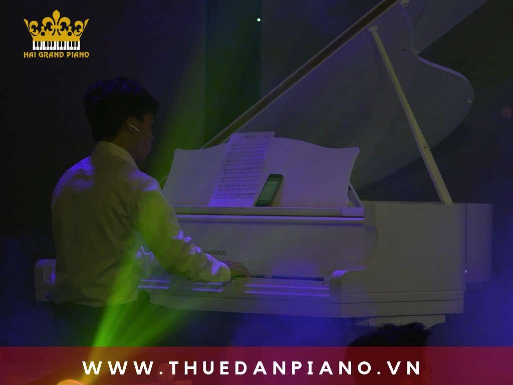 cho-thue-dan-piano-bieu-dien-san-khau_004