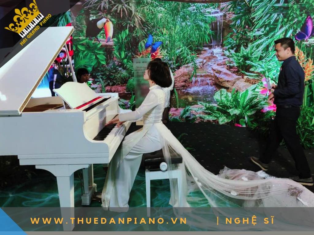 CHO THUE PIANO - PHI PHI