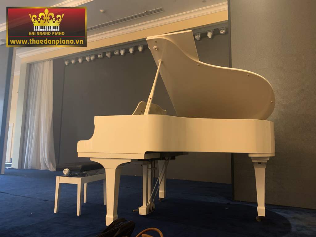 Cho Thuê Đàn Piano Biểu Diễn | Sonata Music & Art Center