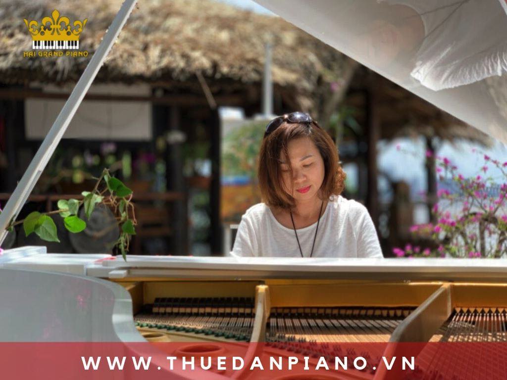 cho-thue-piano-bieu-dien-ngoai-troi_001