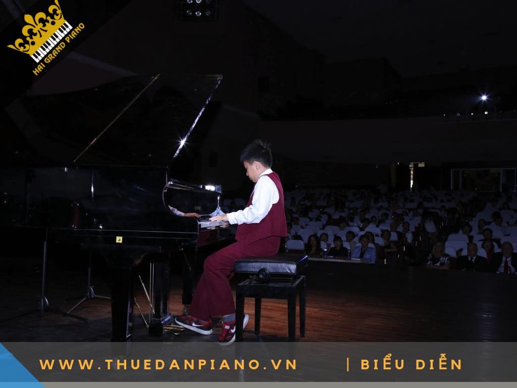 GRAND PIANO VIET UC 2019_002
