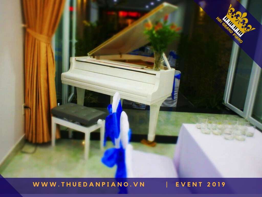 THUÊ ĐÀN PIANO BIỂU DIỄN EVENT CAO CẤP 2019 | QUẬN 1 