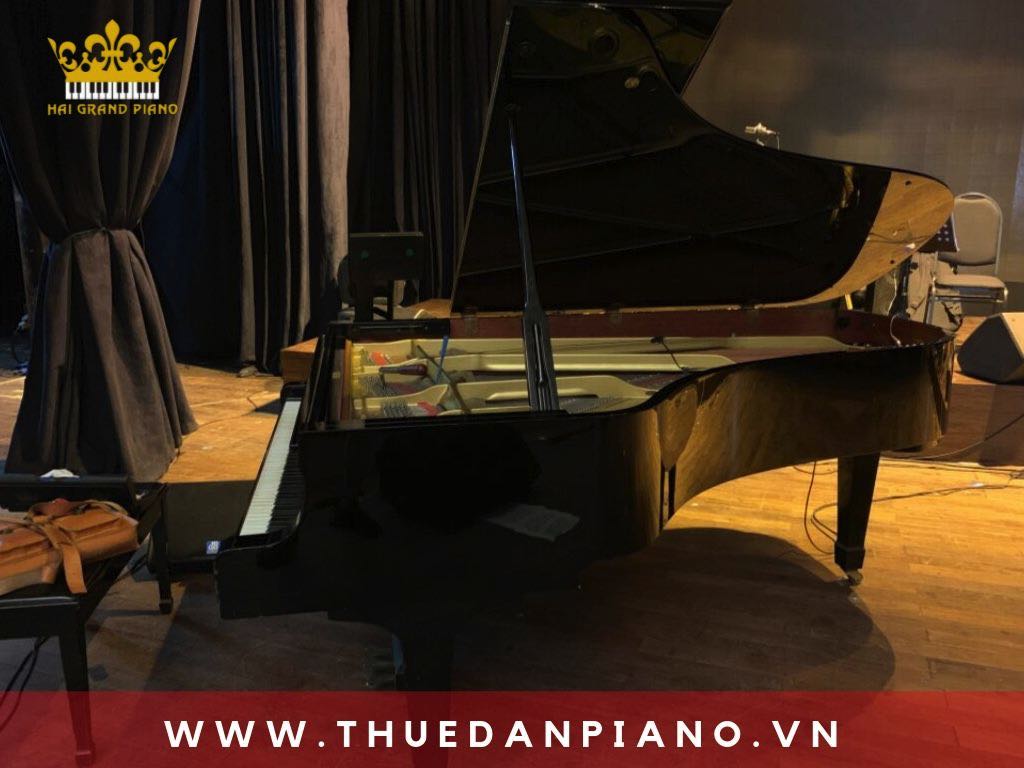 thue-piano-grand-bieu-dien-event