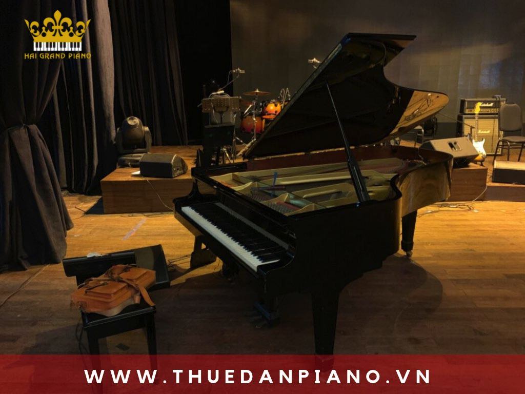 Thuê đàn piano biểu diễn event | Sun Palace | Quận 6 | HCM 