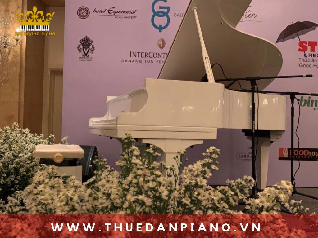 thue-dan-piano-grand-event