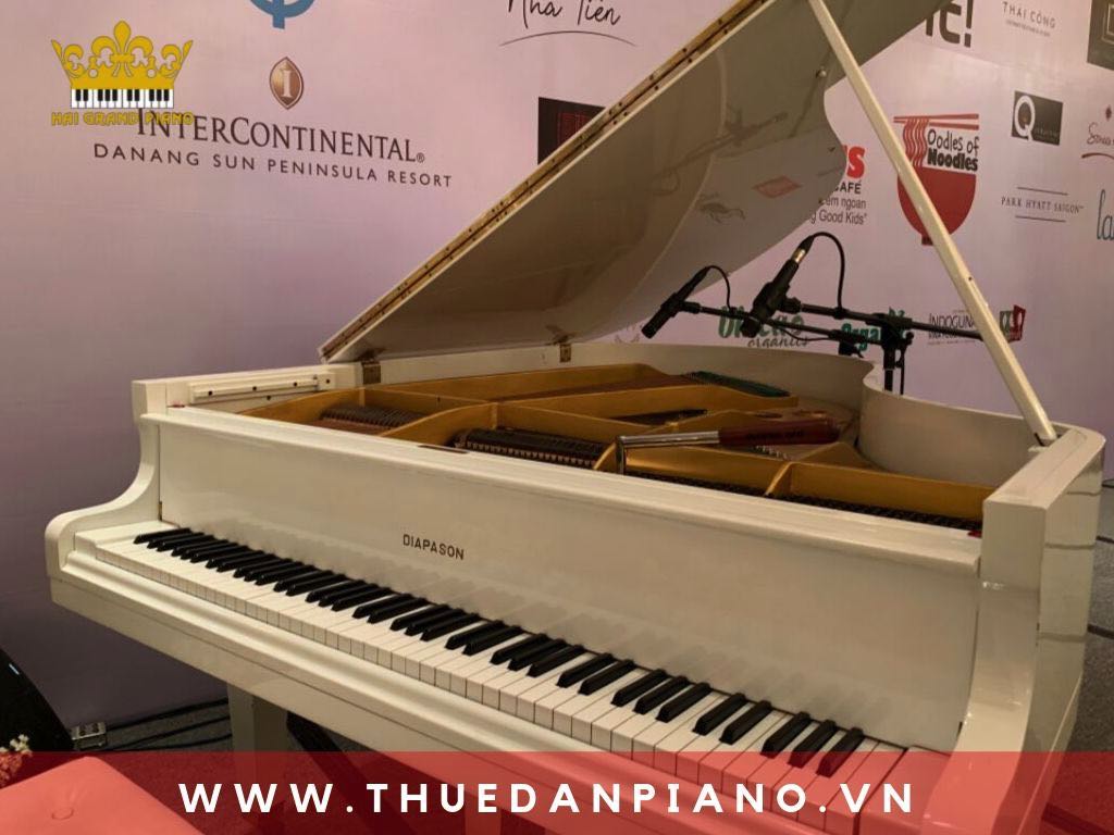 thue-dan-piano-grand-event_003