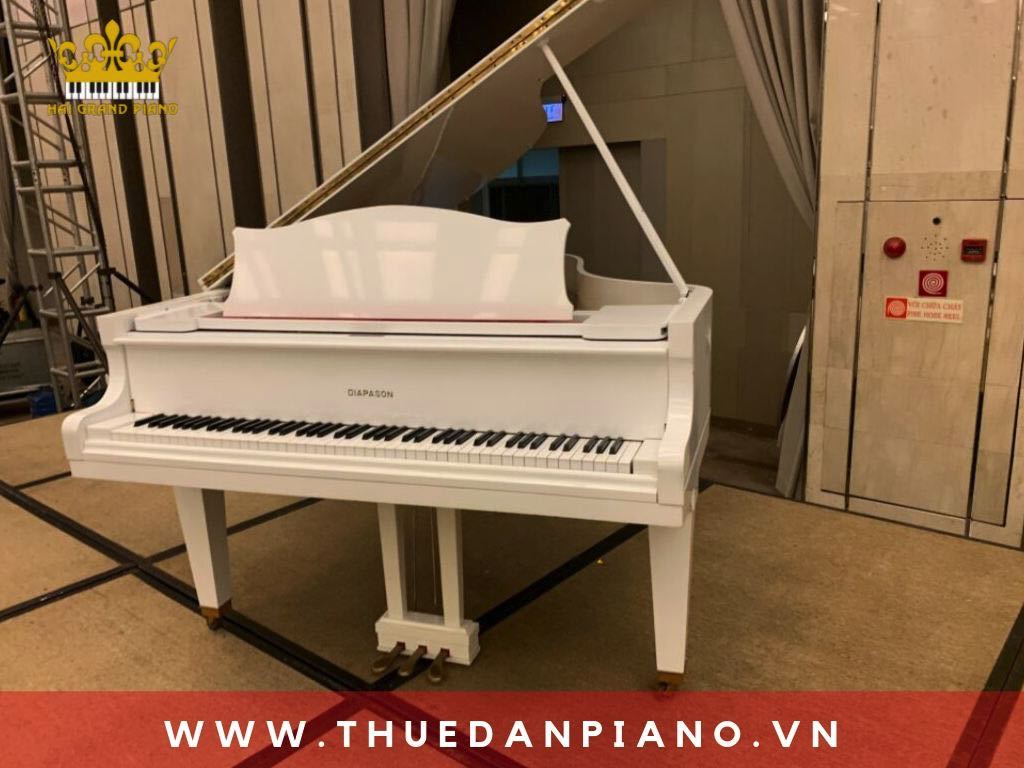 thue-piano-tiec-sinh-nhat_002