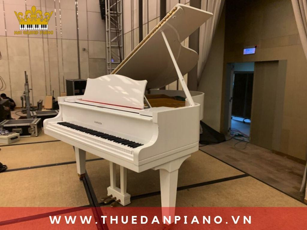 thue-piano-tiec-sinh-nhat_003