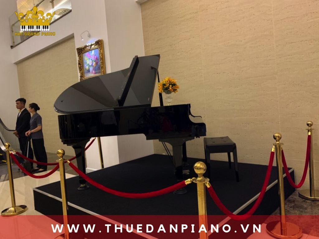 Thuê đàn piano grand màu đen | TT tiệc cưới Tân Sơn Nhất | HCM 