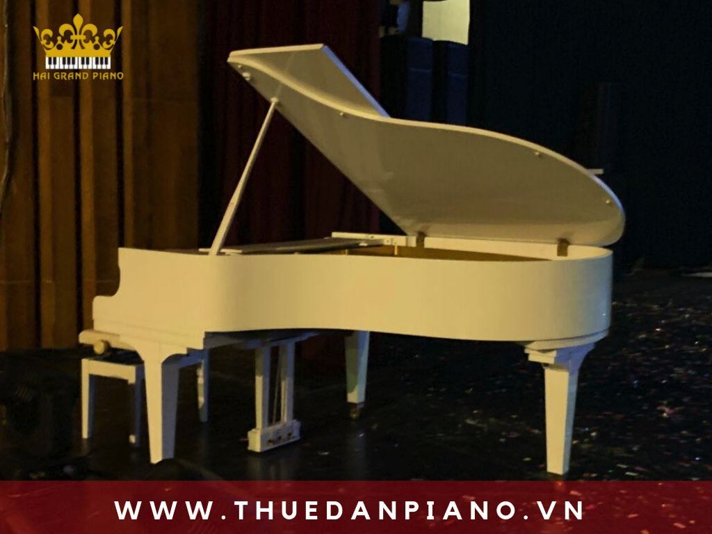 thue-dan-piano-event