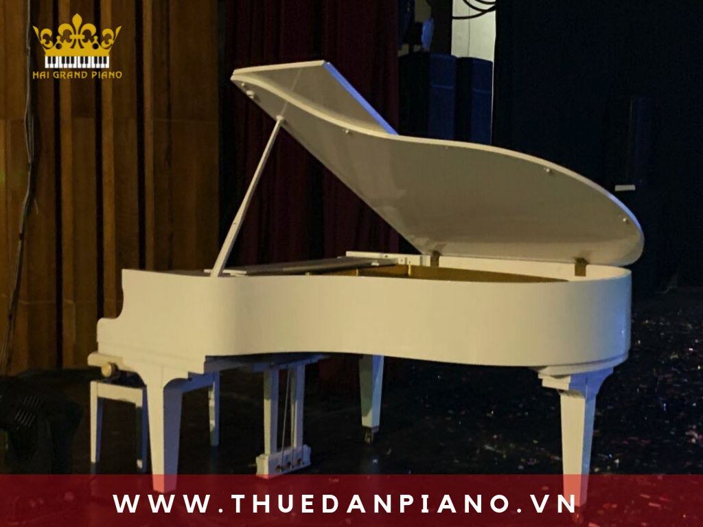 thue-dan-piano-event_001