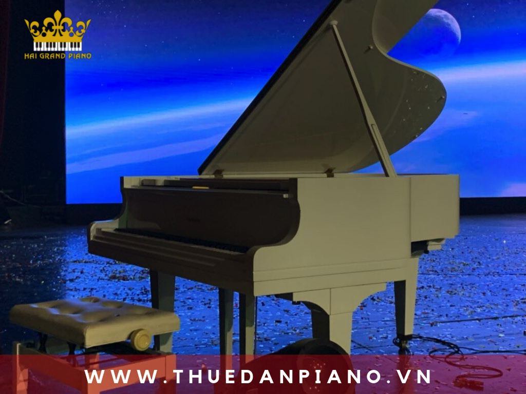 Cho Thuê Đàn Piano | Event Cao Cấp | Khách Sạn | Quận 1 