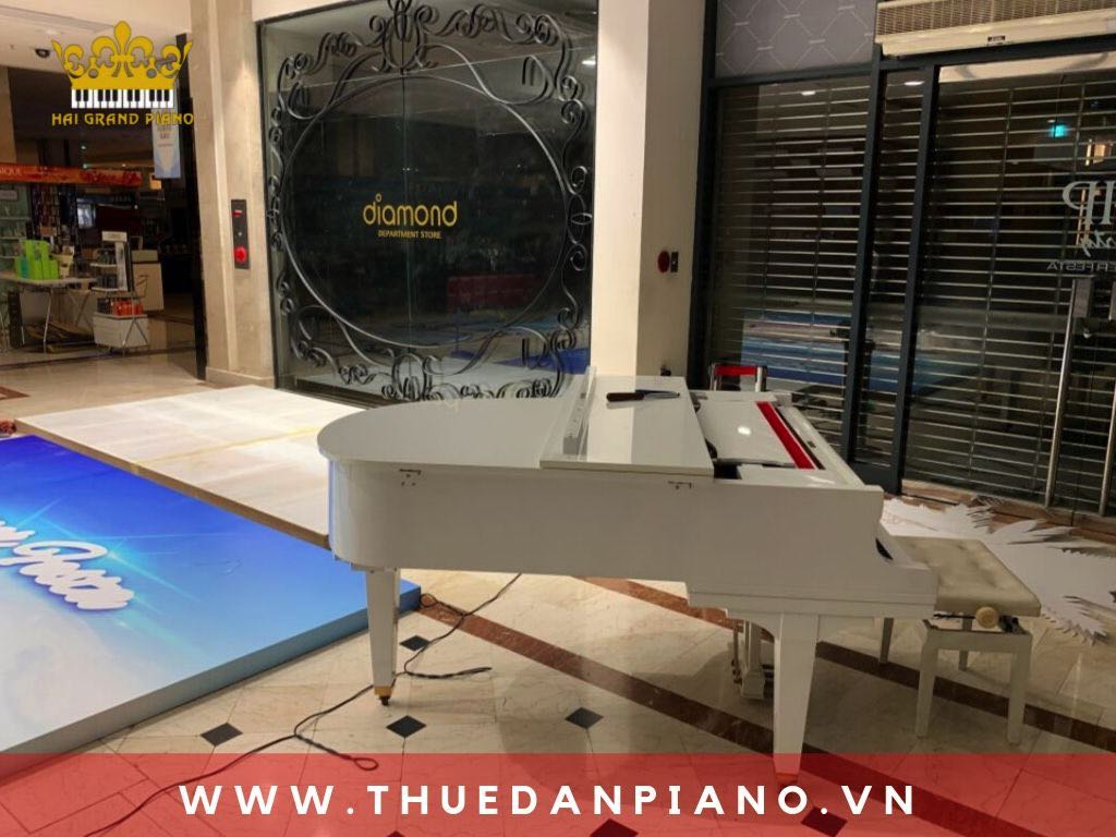 Cho Thuê Đàn Piano Biểu Diễn TTTM | Quận 1 | HCM | Diamon Plaza 