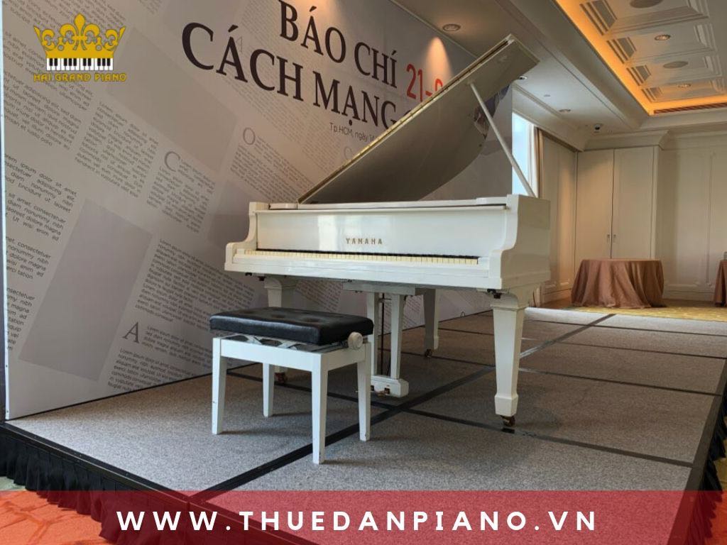 cho-thue-dan-piano-event-cao-cap_002