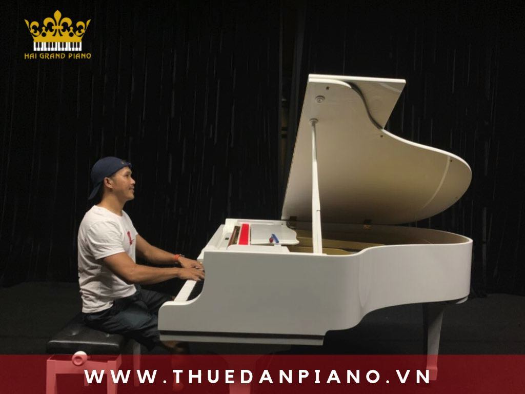 cho-thue-dan-piano-bieu-dien-event-quan-3