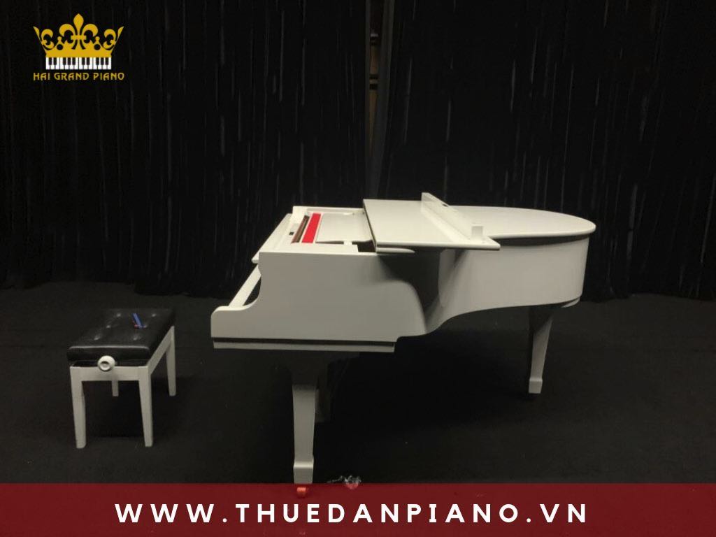cho-thue-dan-piano-bieu-dien-event-quan-3_001