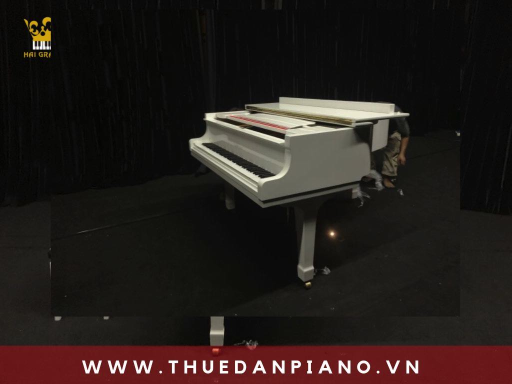 cho-thue-dan-piano-bieu-dien-event-quan-3_002