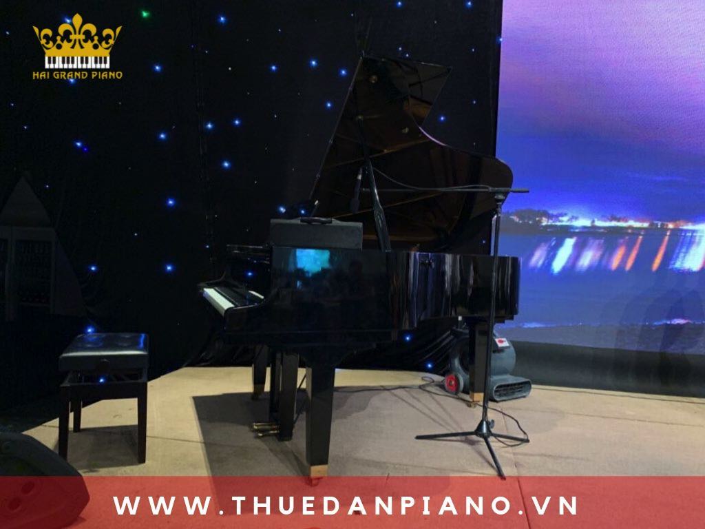 cho-thue-dan-piano-grand-event_001