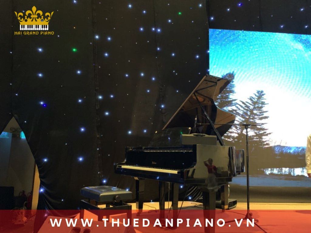 cho-thue-dan-piano-grand-event_002