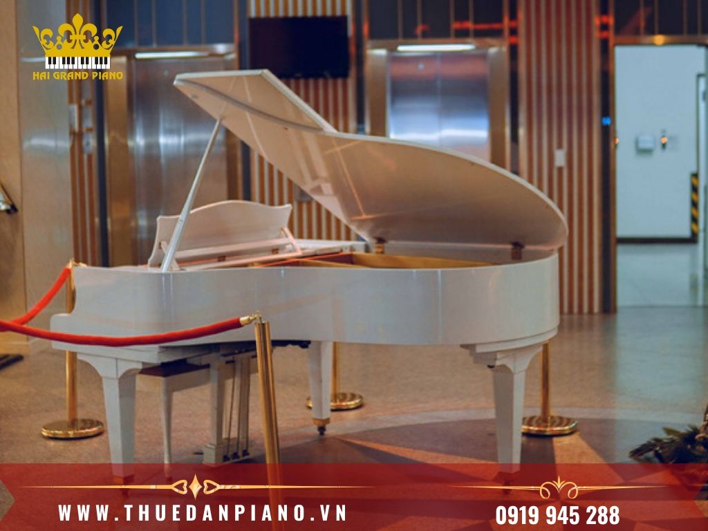 thue-dan-grand-piano-2