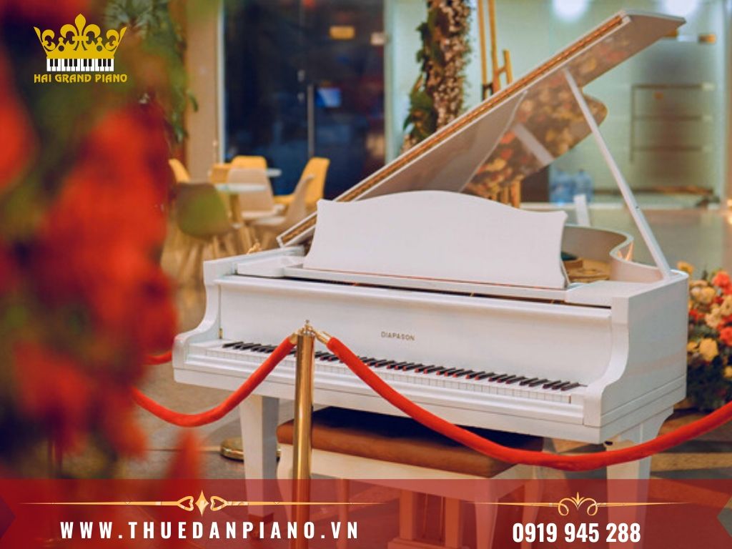 thue-dan-grand-piano-3