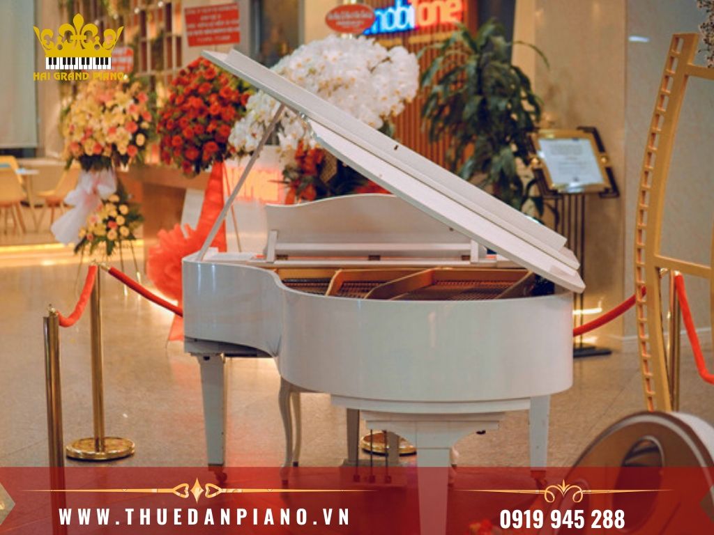 thue-dan-grand-piano-5