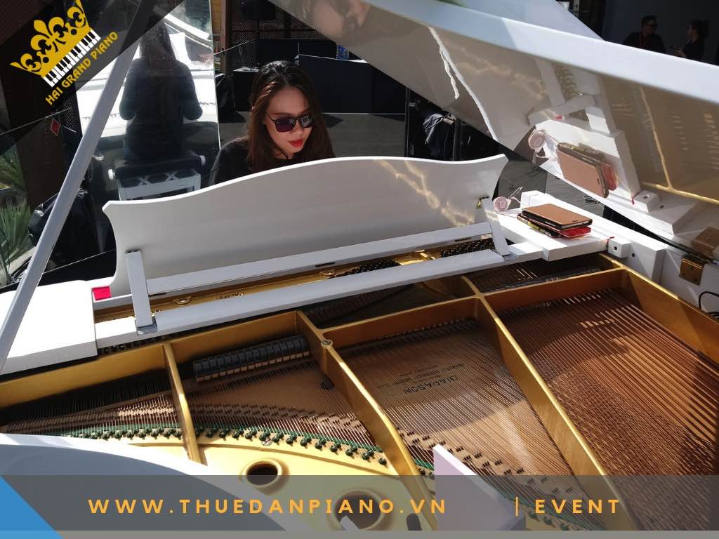 CHO THUÊ ĐÀN PIANO BIỂU DIỄN EVENT BDS QUẬN 1 