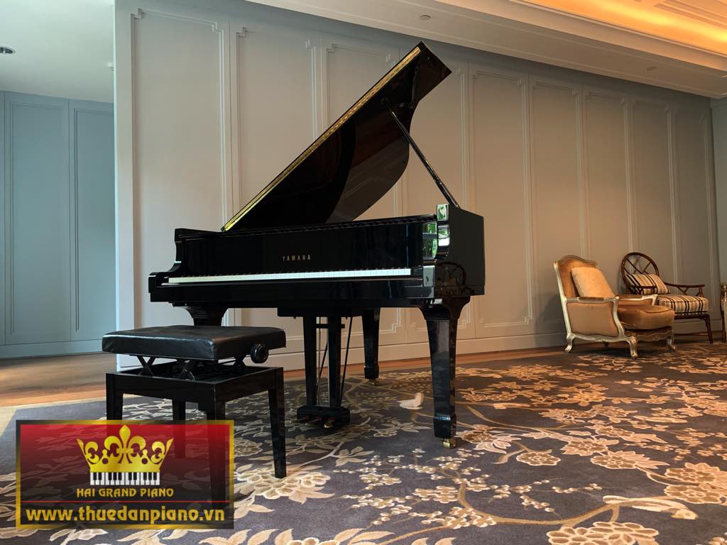 Cho Thuê Đàn Piano Yamaha Biểu Diễn | Park Hyatt Saigon