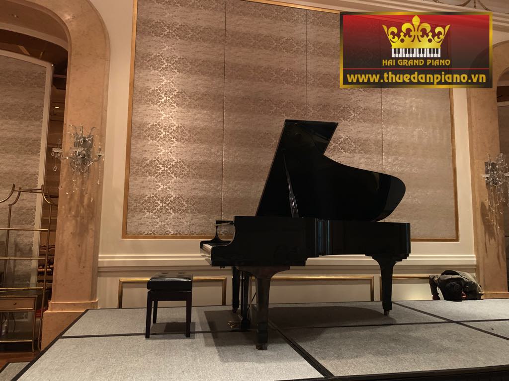 thue-grand-piano-concert-1