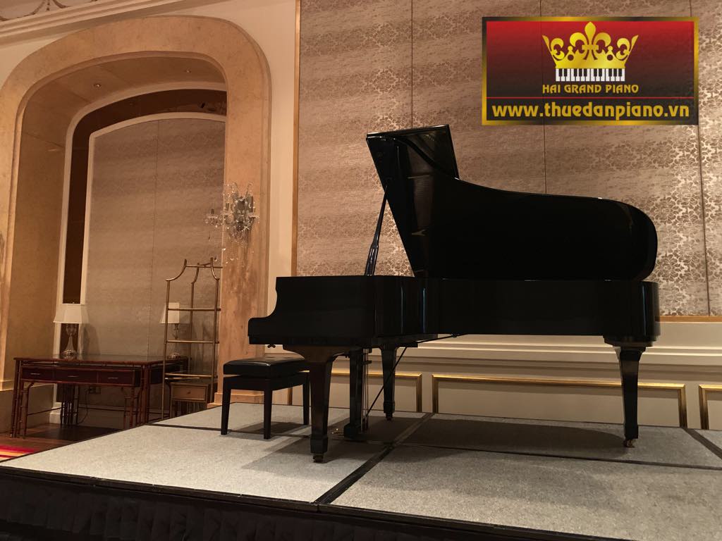 thue-grand-piano-concert-2
