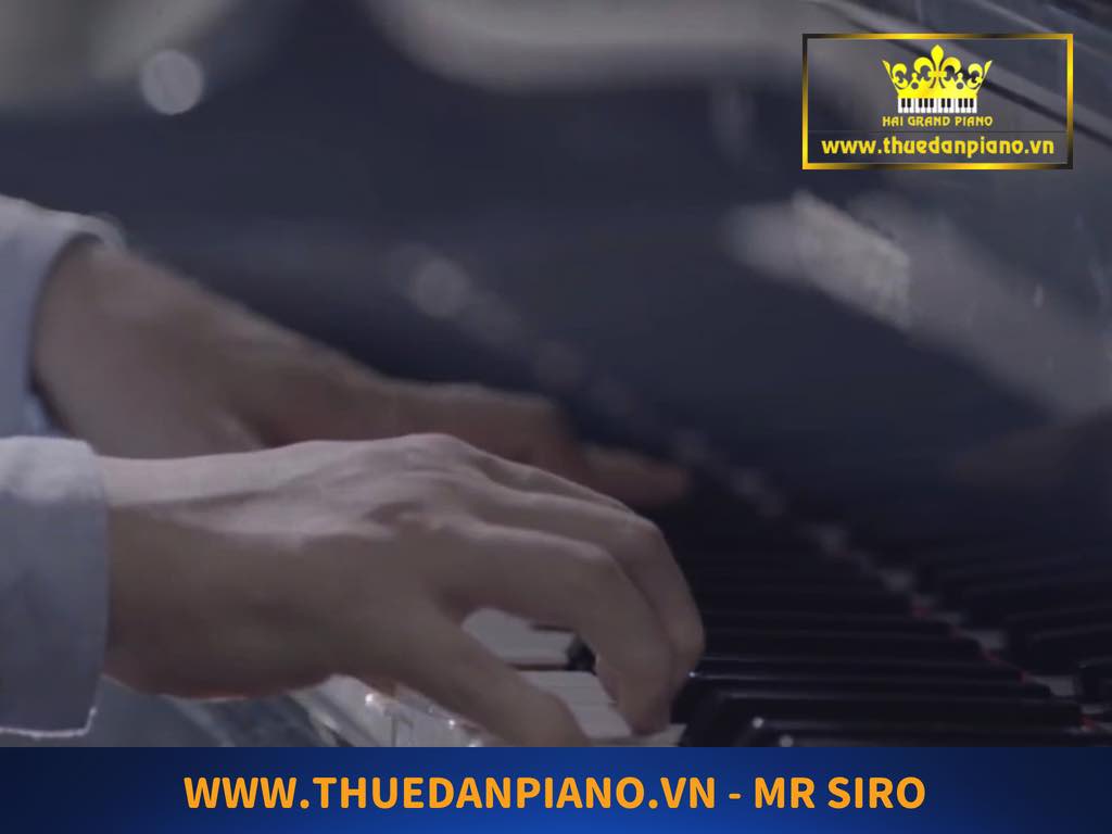 mr-siro-grand-piano-3
