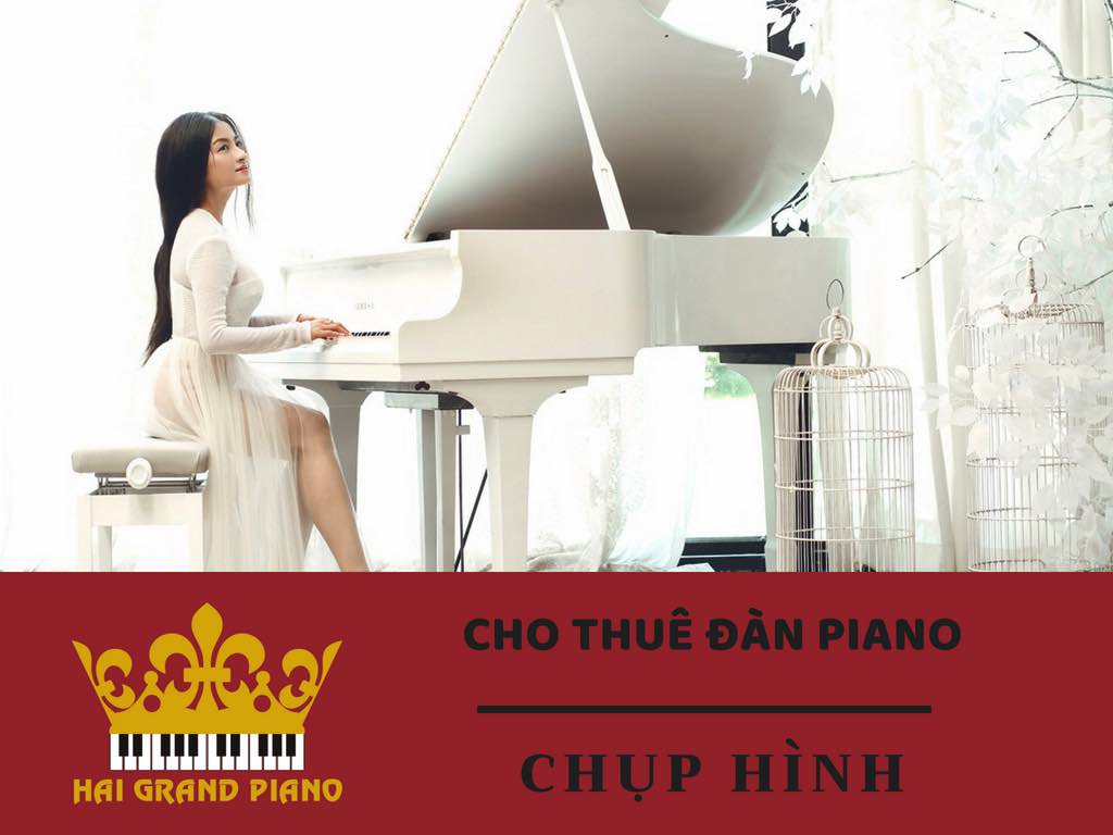 thue-dan-piano-chup-hinh