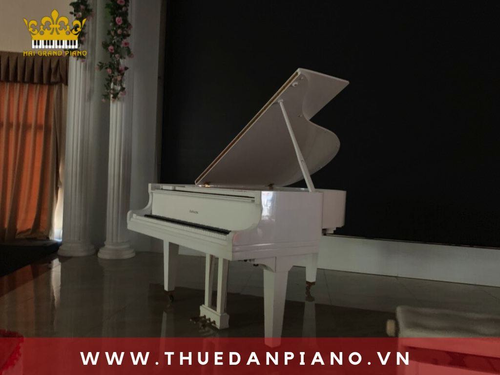 thue-dan-piano-grand-mung-tho_002