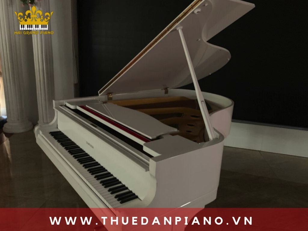 thue-dan-piano-grand-mung-tho_003