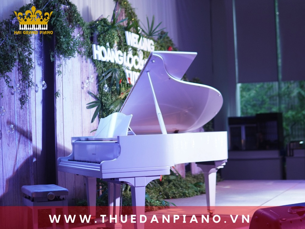 Cho Thuê Đàn Grand Piano Tiệc Cưới Cao Cấp | White Balace 