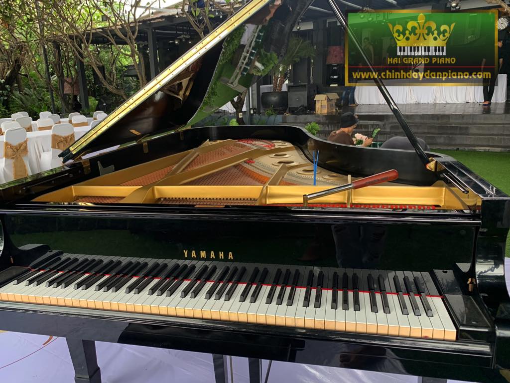 Cho Thuê Đàn Piano Biểu Diễn | Thảo Điền Villa | Quận 2