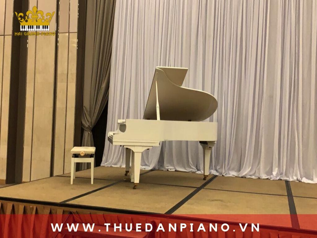 thue-piano-grand-quan-4